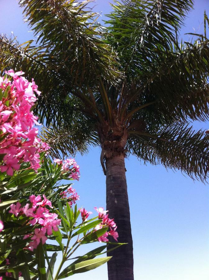 Bungalow La Datura El Paso Ngoại thất bức ảnh